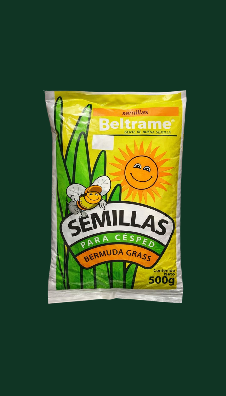 Semilla césped bermuda