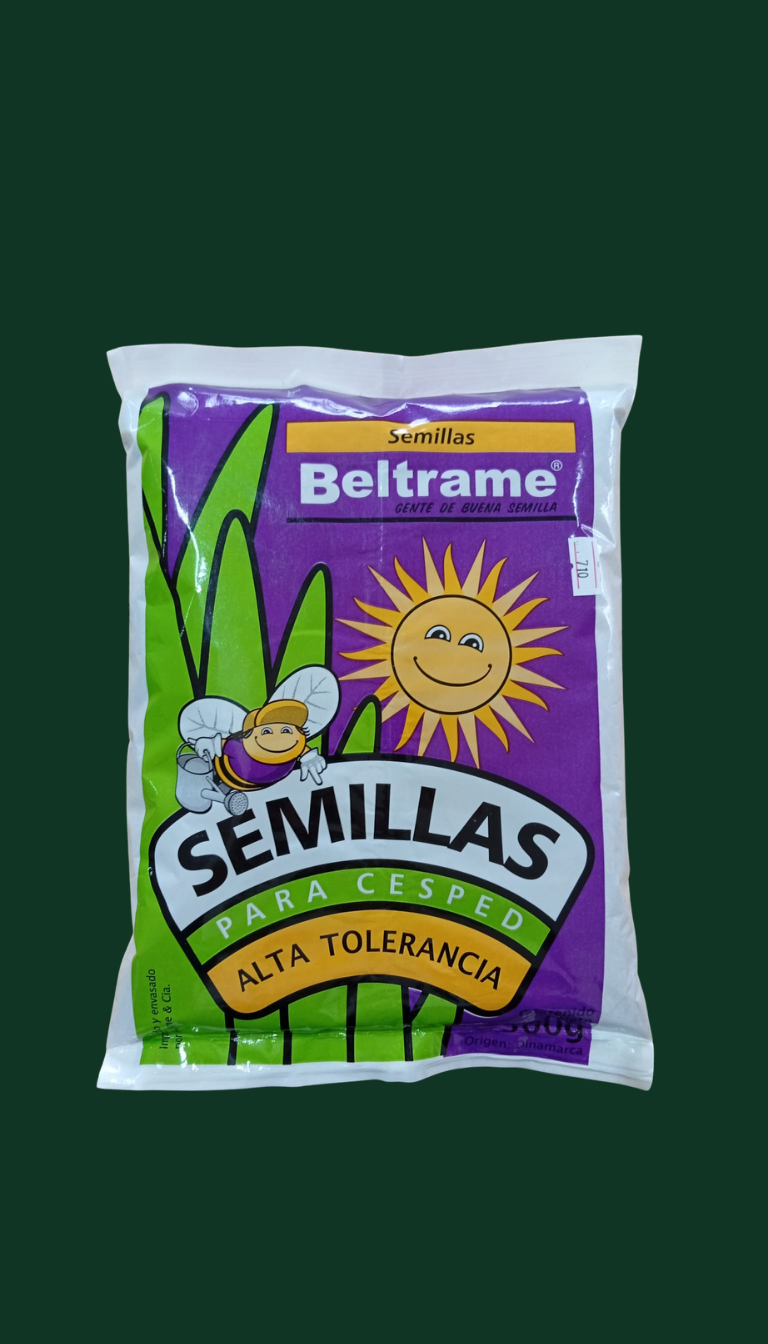 Semilla césped alta tolerancia
